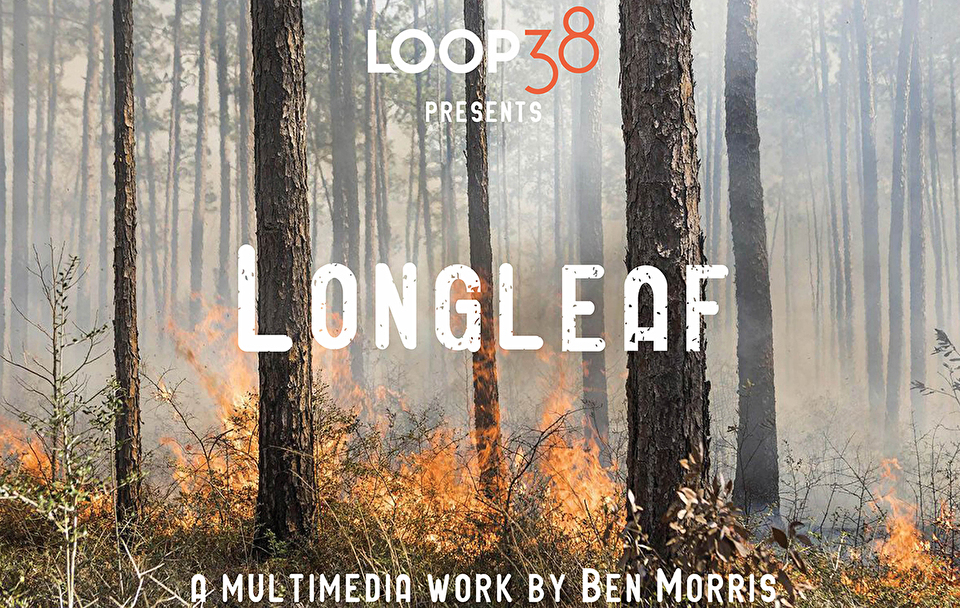 Photo of a longleaf pine forest with underbrush on fire and text of ‘Longleaf’
