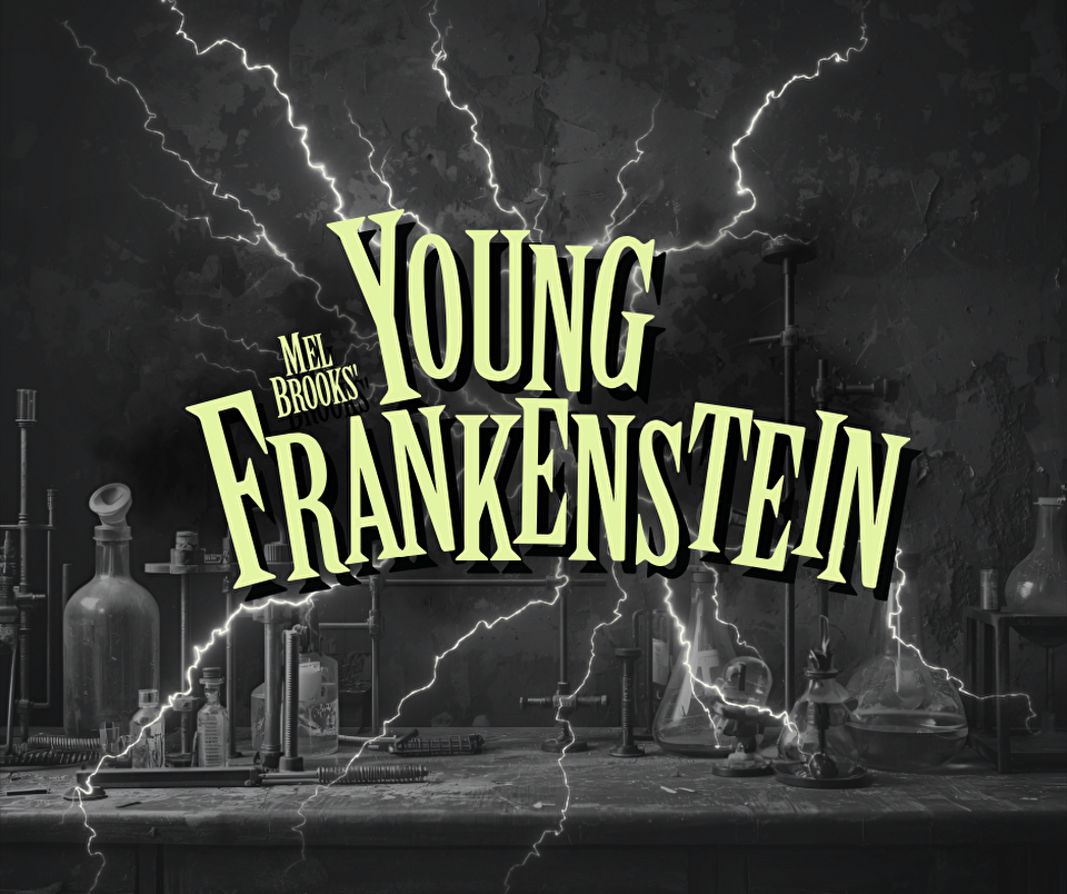 Young Frankenstein graphic