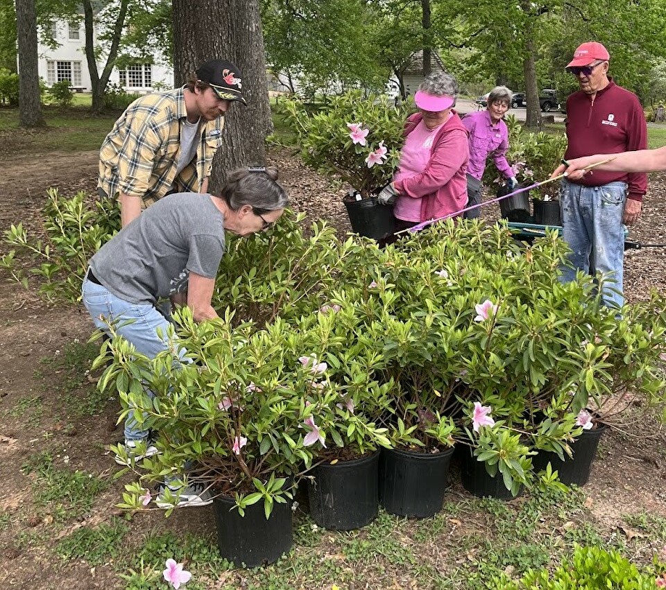 Volunteers preparing for the SFA Gardens plant sale.
