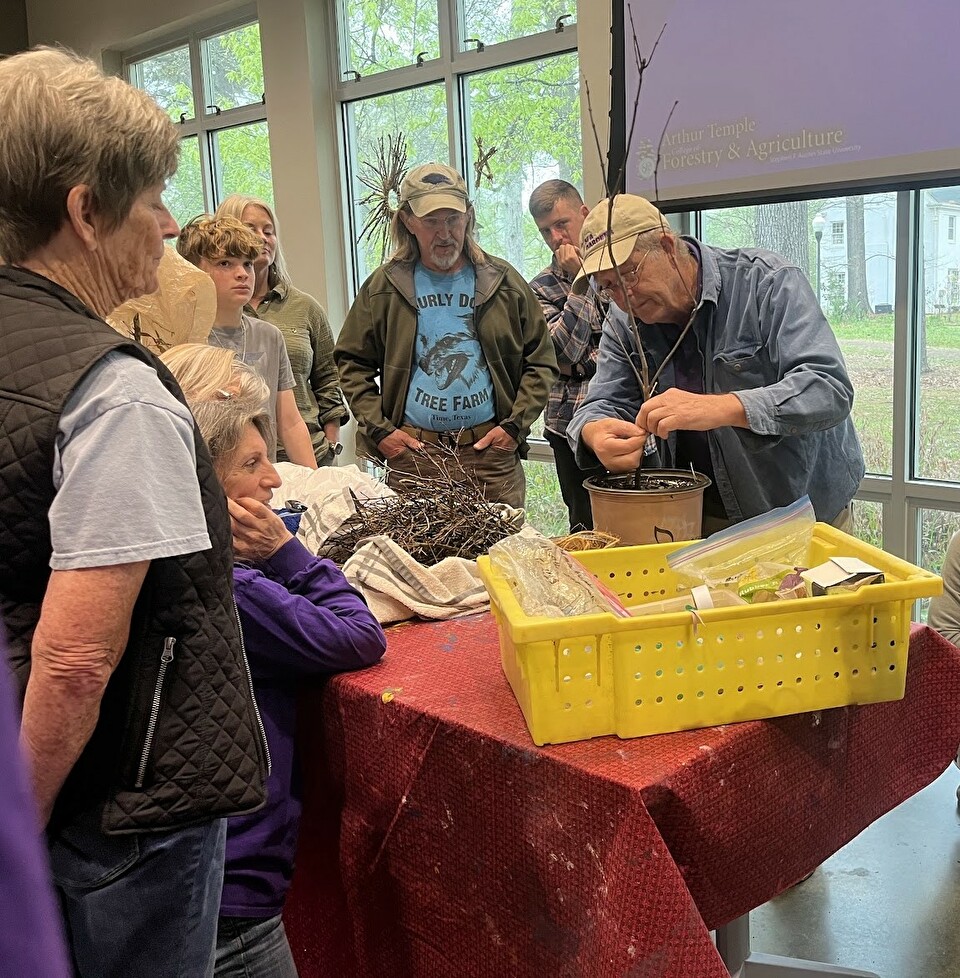 Photo of Dr. Creech, SFA Gardens director, leading a grafting workshop