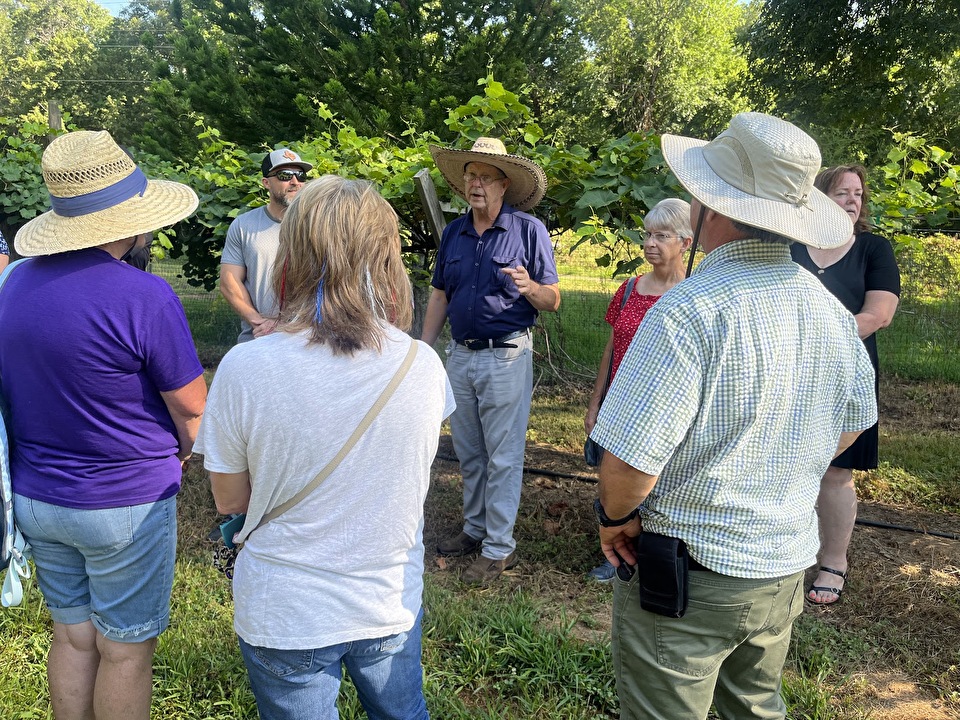 People listening to Dr. David Creech during a fruit research field day.