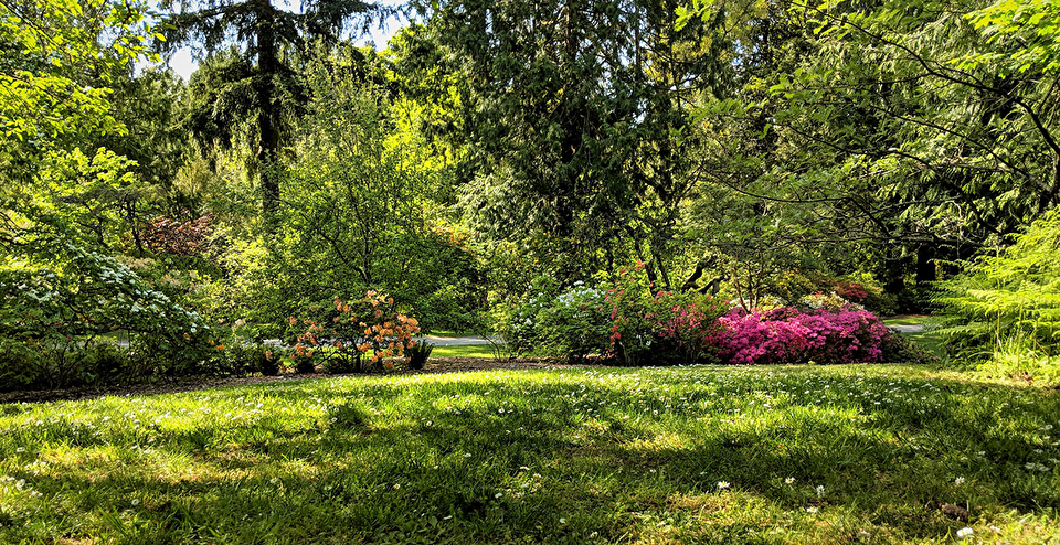 Photo of an outdoor park setting in spring